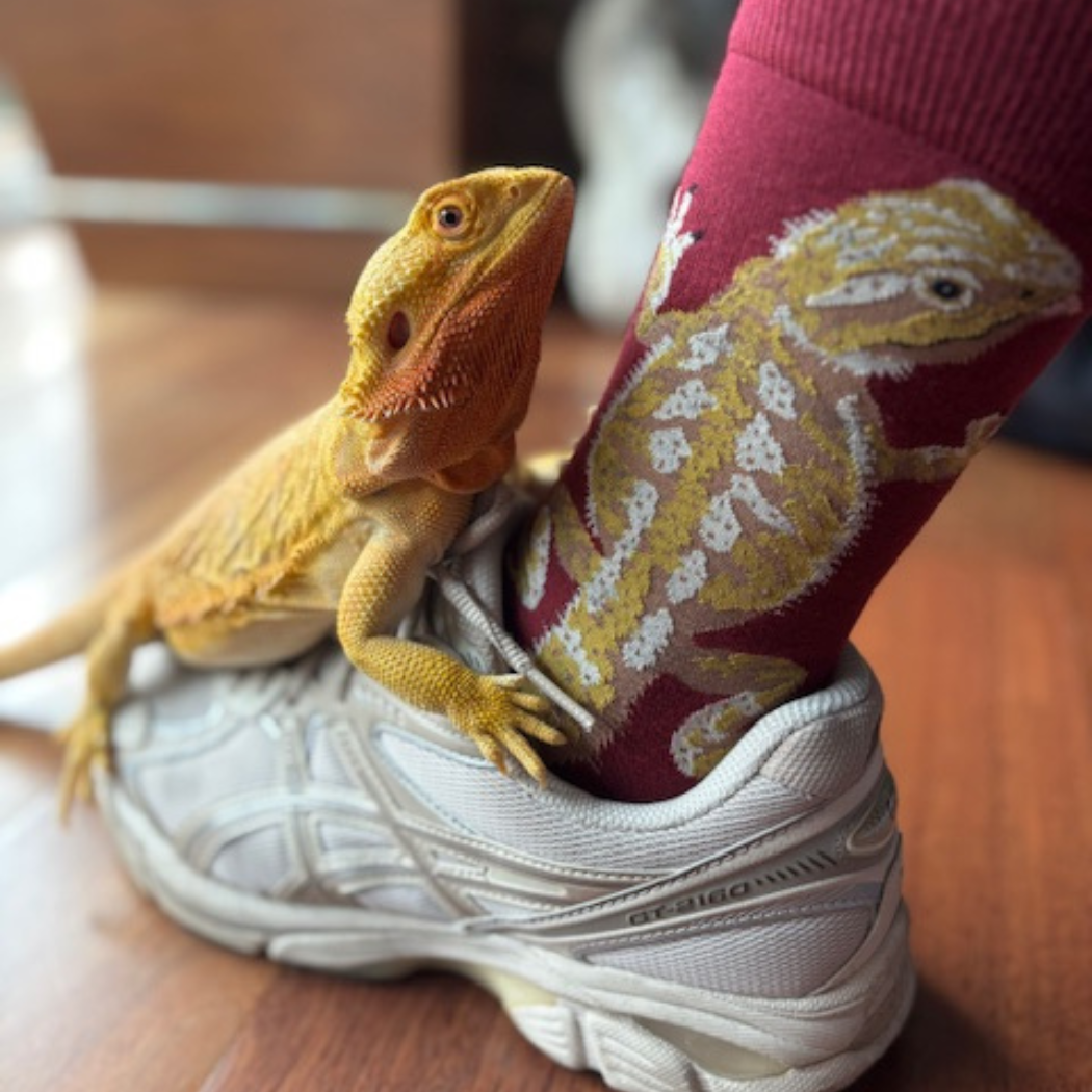 Bearded Dragon Crew Socks
