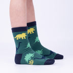 Dinosaur Days Youth Crew Socks 3-Pack