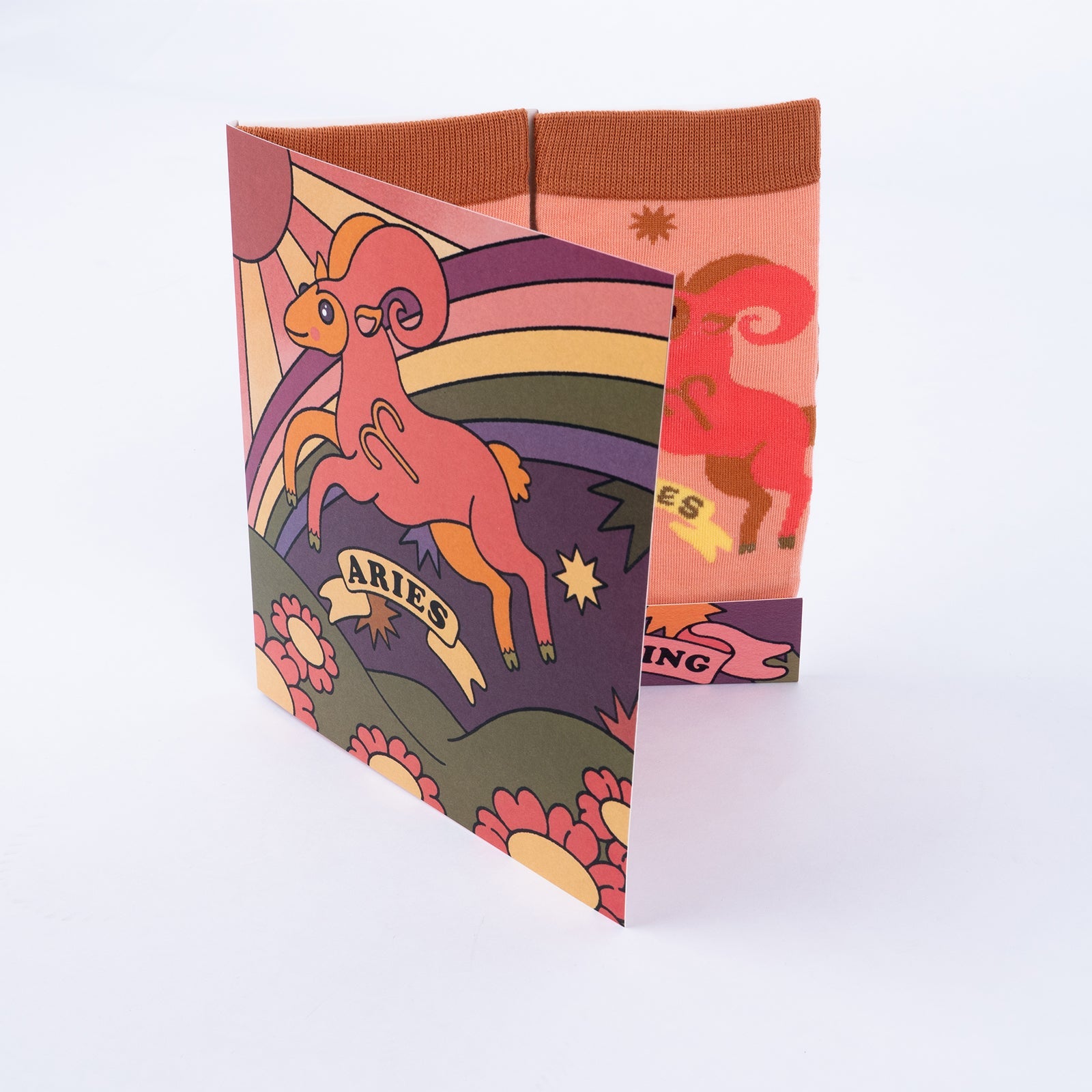 Aries Greeting Card with Socks