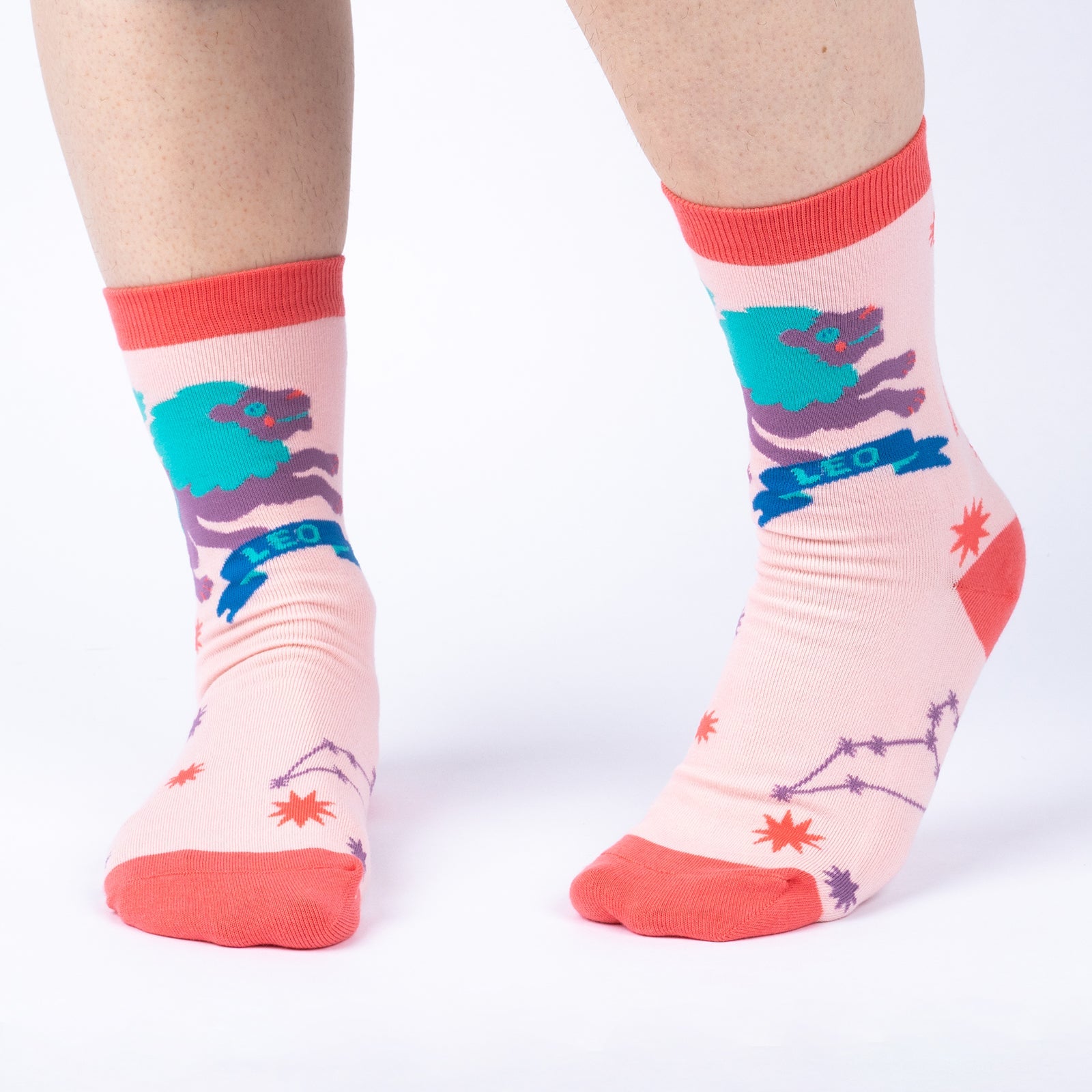 Leo Greeting Card with Socks