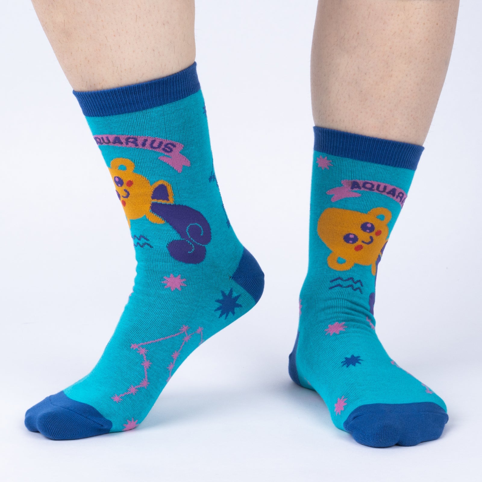 Aquarius Greeting Card with Socks