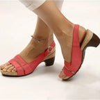 Comfy Elegant Women's Low Chunky Heel Shoes